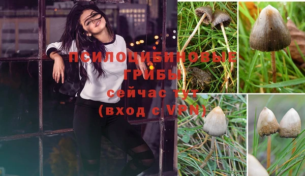 a pvp Волосово