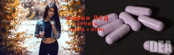 стаф Волоколамск